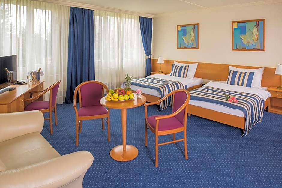 TOP HOTEL Praha