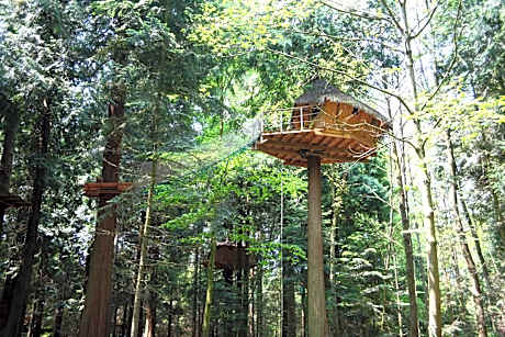 Tree House (2 Adults)
