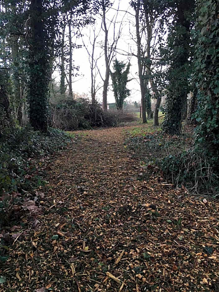 the Orangery - BnB Suites