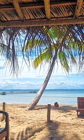 Água de Coco Pousada