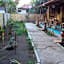 Little Woodstock Homestay