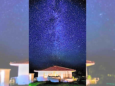 Wisteria  ocean nakijin