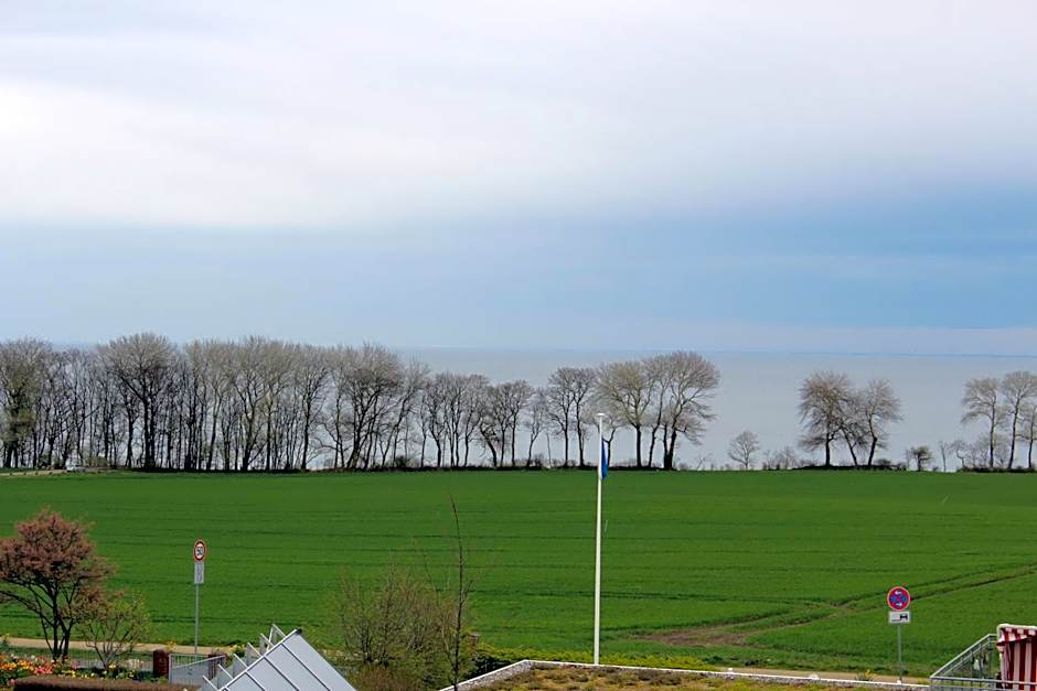 Ferienwohnungen am Museumshof