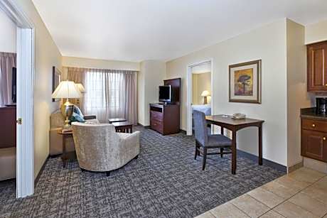 One-Bedroom King Suite