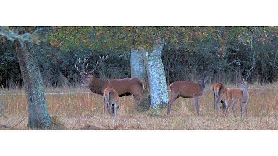 Manoir le Bout du Pont-Chambres d'Hôtes