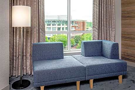 Jr Suite, Junior Suite, 1 King