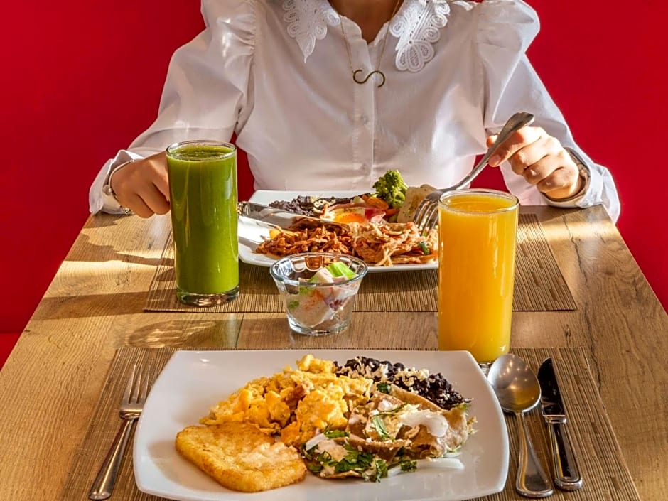Ibis Queretaro