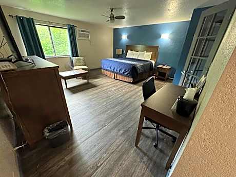 Efficiency King Suite - Non-Smoking