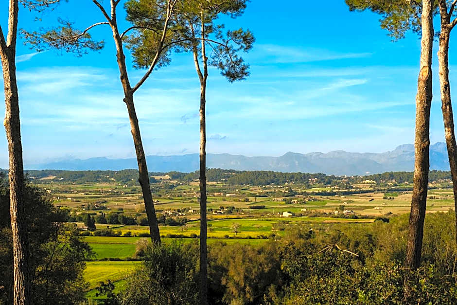 Finca Sa Bastida Luxury Retreat & Spa Adults Only - Over 14