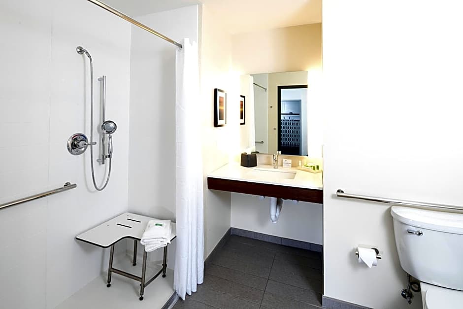 Holiday Inn Hotel & Suites - Mount Pleasant By IHG