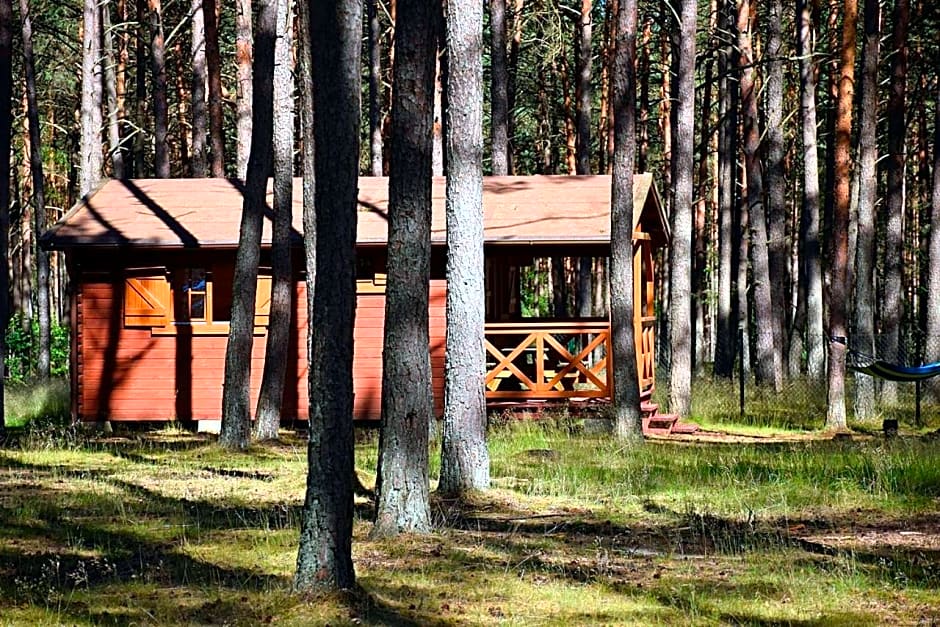 Leśniczówka-Wdzydze Pe eL