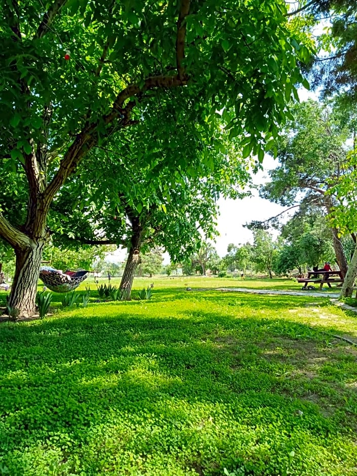 Koca Kapı Konaklama