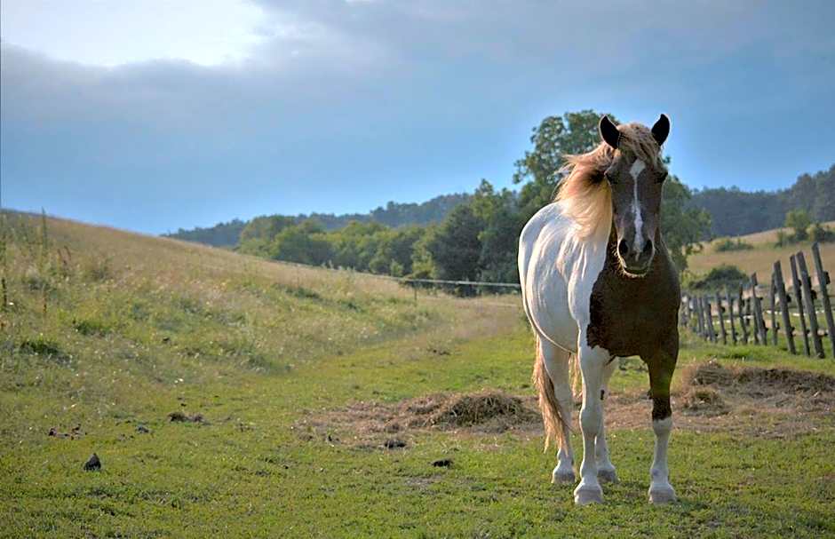Cseri Kastélyszálló