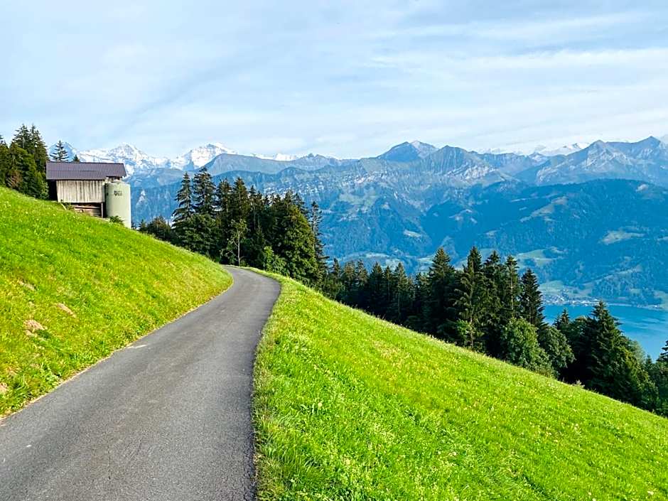 Beatenberg Resort & Spa in Beatenberg Interlaken