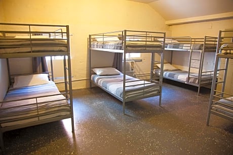 Bunk Bed in 8-Bed Mixed Dormitory Room with Air Conditioning