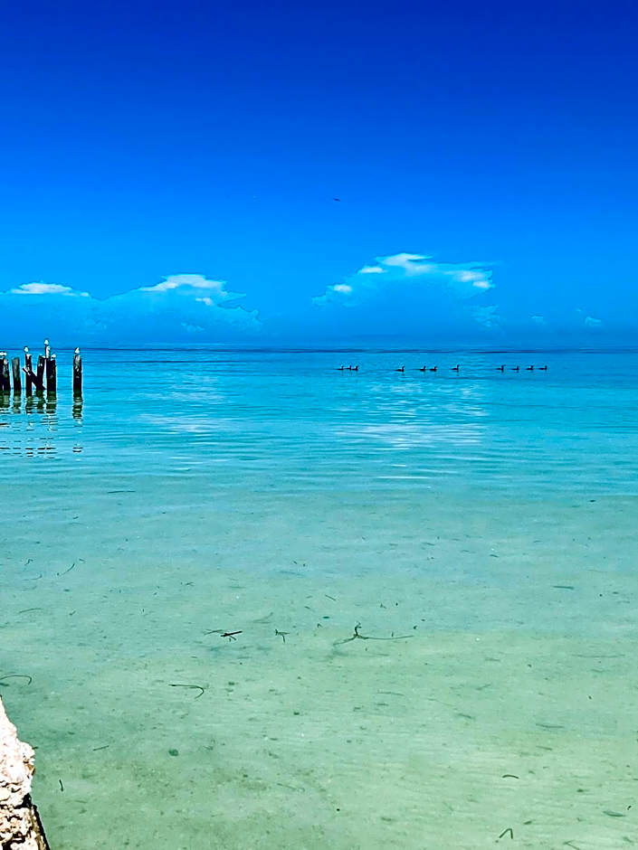 Casa Tekio Holbox By Kin Studios