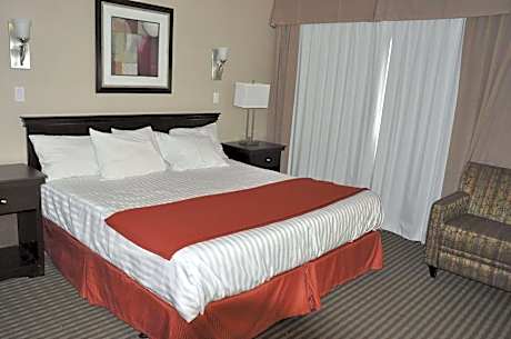 King Studio Suite - Non-Smoking