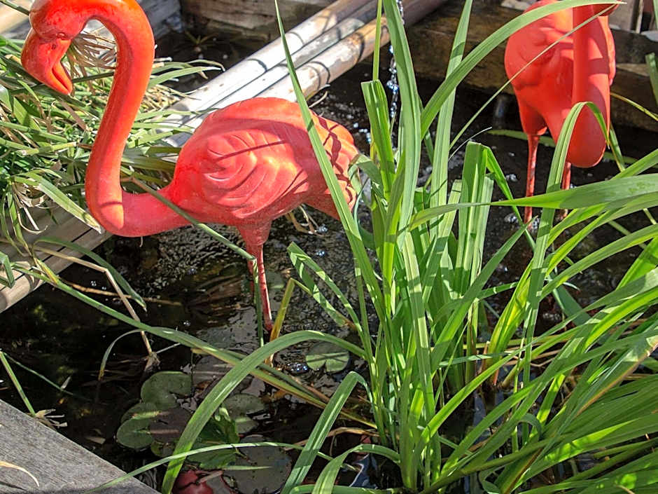 ibis Brignoles Provence Verte