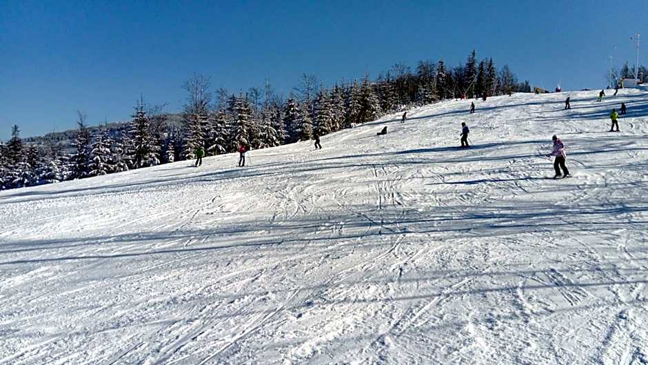 Sasanka przy Gondoli