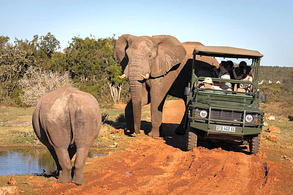 Pumba Private Game Reserve