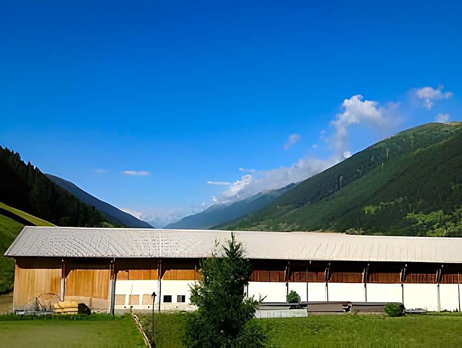Hotel Alpenhof