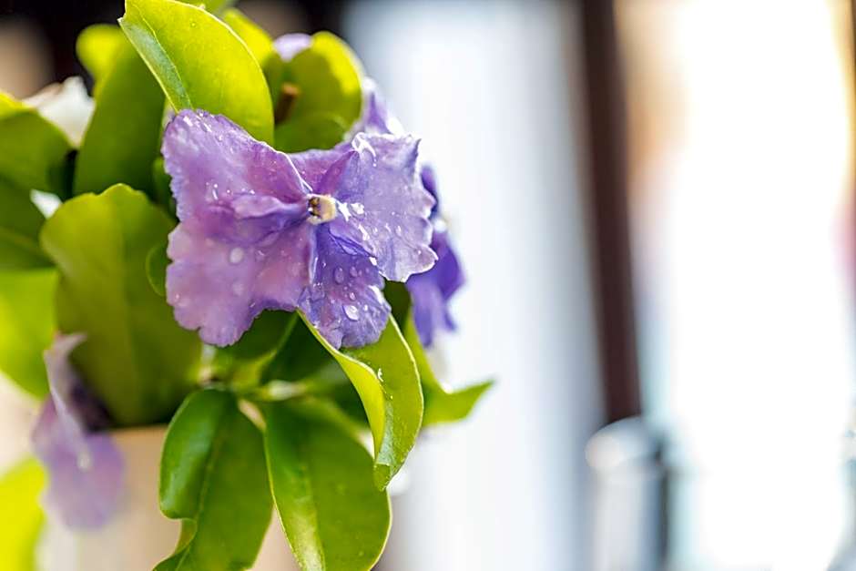 Kingfisher GuestHouse