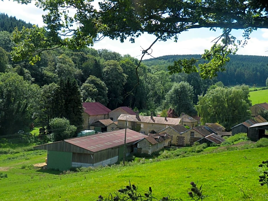 kotas-Esprit Nordique