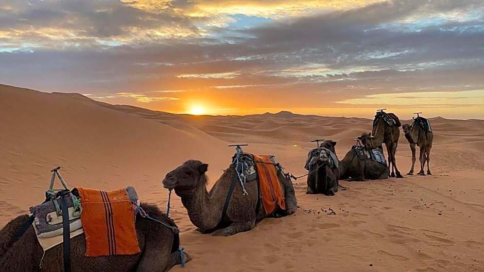 Chegaga Desert Trips