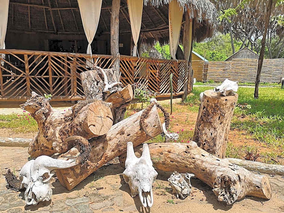 Africa Safari Selous Nyerere national park