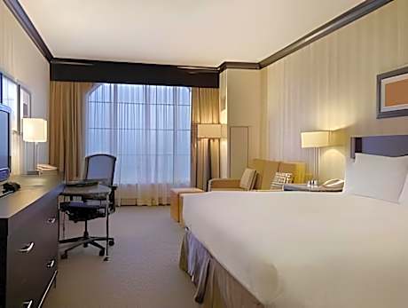 Suite King Bed