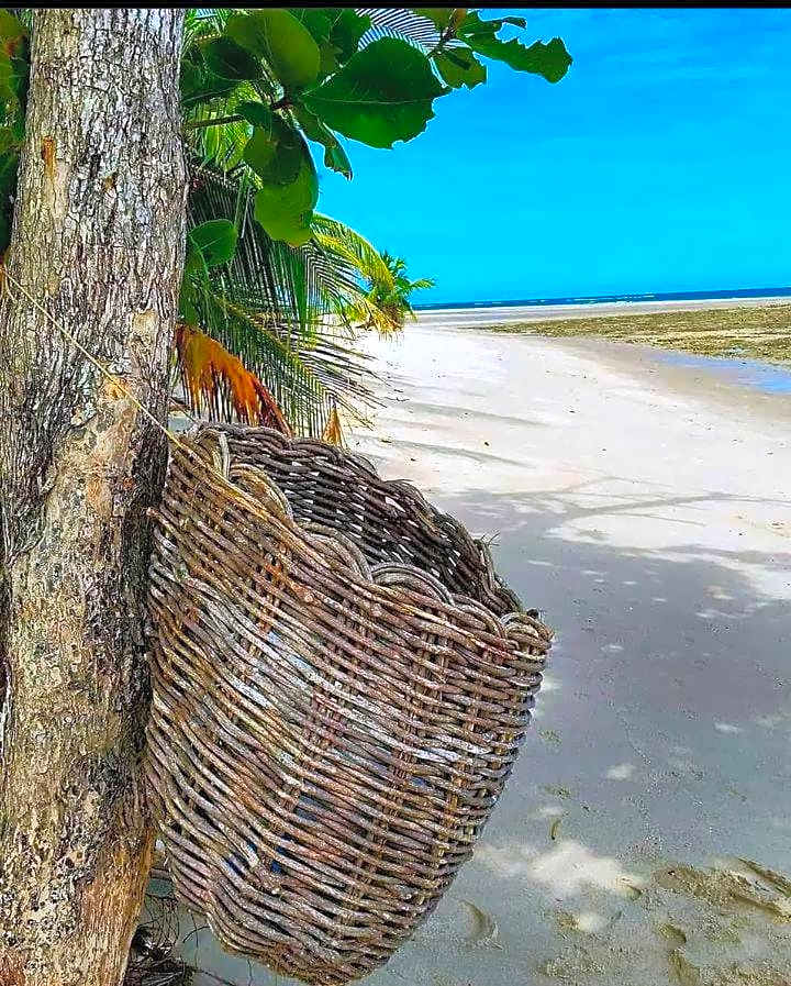 Flat de Irinha Moreré