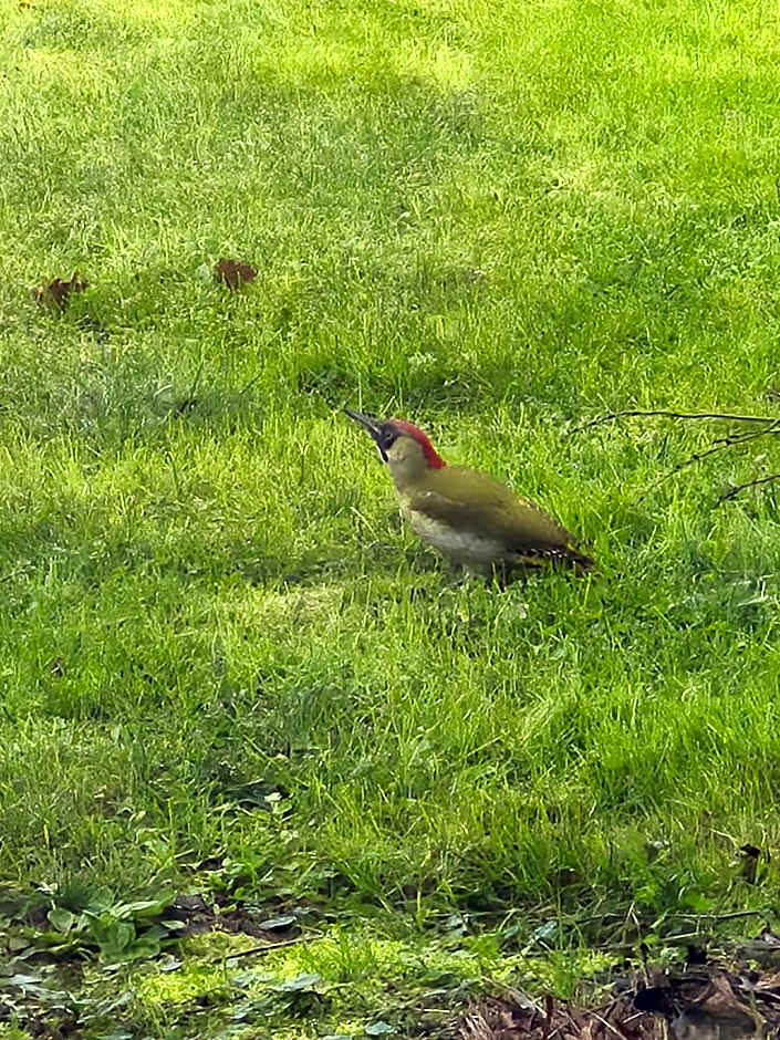 Gîte "Au Gré de l'Adour"