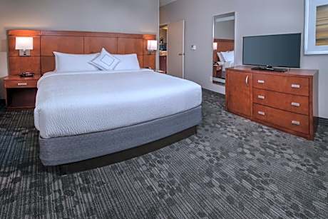 King Suite with Sofa Bed