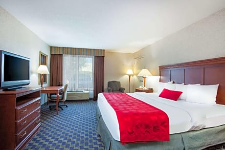 1 King Bed, Mobility Accessible Room Roll-in Shower. Non-Smoking