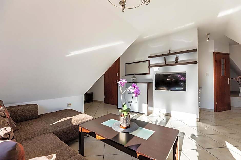 Brzoza w centrum Zakopanego