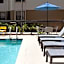 Hampton Inn By Hilton And Suites Tampa-North