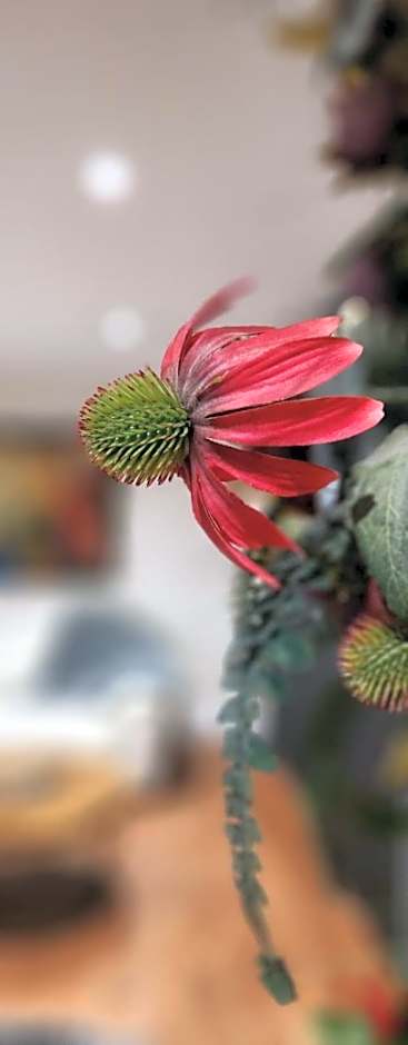 The Waterside Bar, Rooms & Restaurant