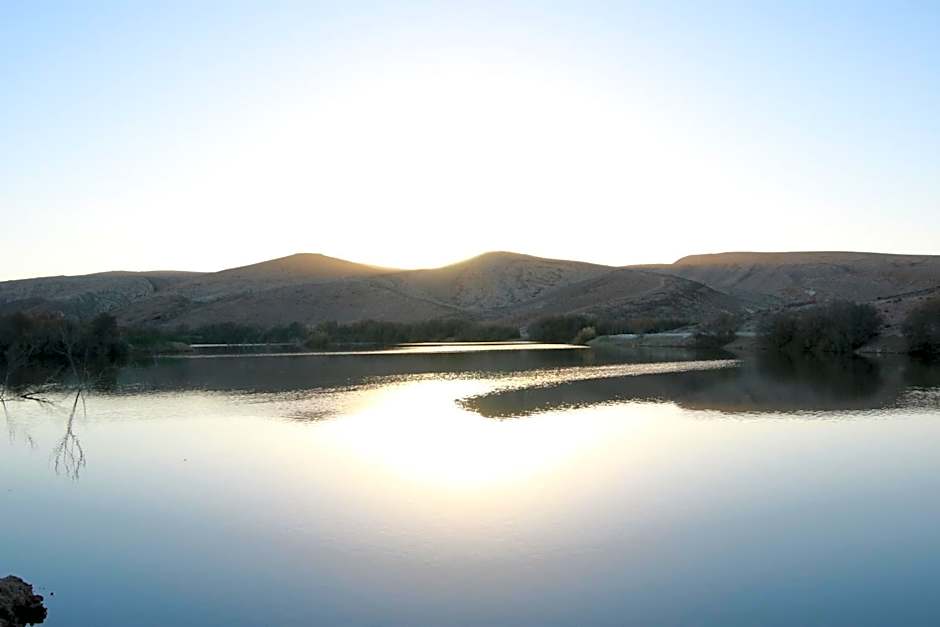 עדן במדבר - eden in desert