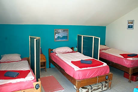 Bed in 8-Bed Mixed Dormitory Room