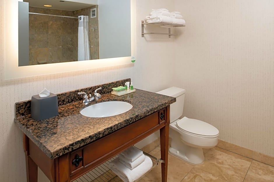 Holiday Inn Portland - Columbia Riverfront by IHG