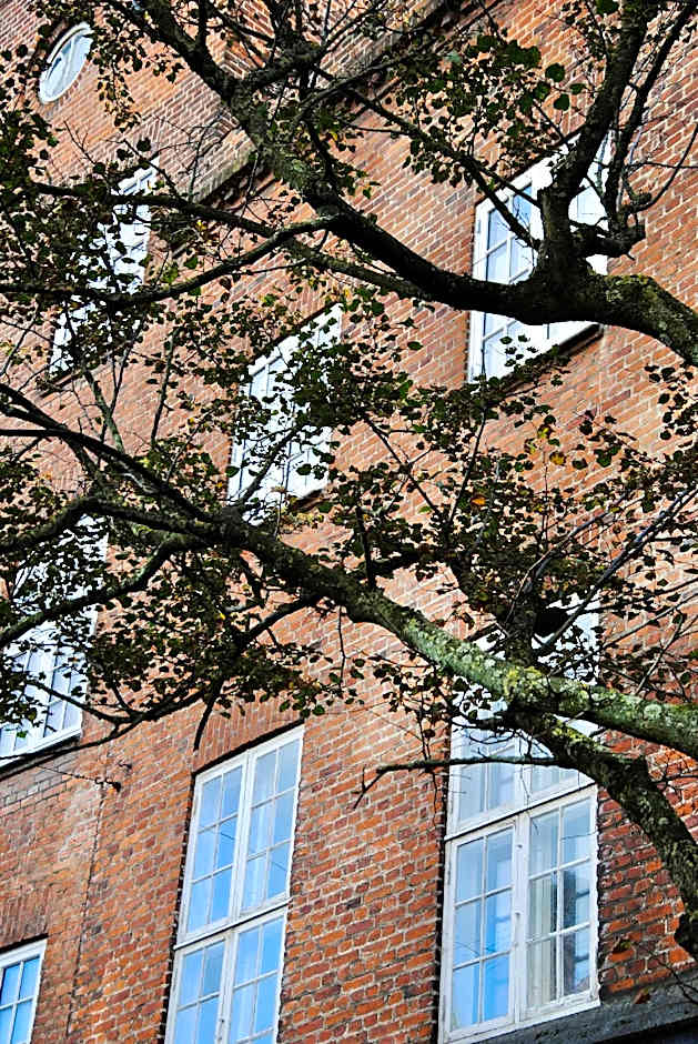 Hotel Apartment Mageløs 12