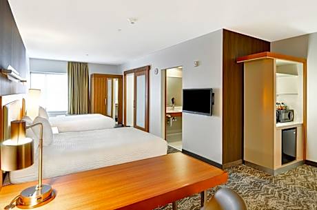 Studio, Multiple Beds (Mobility/Hearing Access, Roll-In Shwr) (2 Queen Beds and 1 Double Sofa Bed)