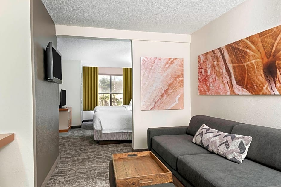 SpringHill Suites Asheville