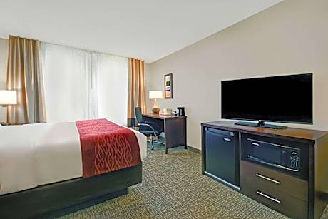 King Room with Roll-In Shower - Accessible/Non-Smoking