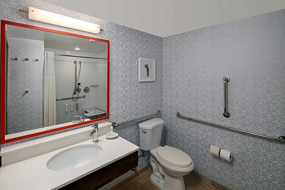 Hampton Inn By Hilton And Suites El Paso-Airport
