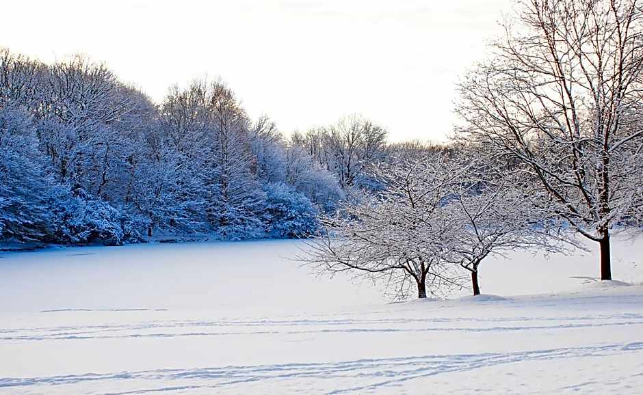 Holiday Inn Express Princeton Southeast By IHG