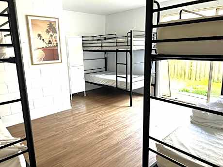 Bed in 6-Bed Mixed Dormitory Room