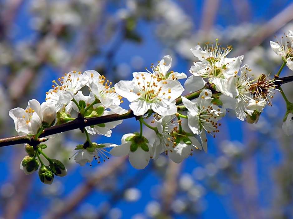 HI Foz Coa - Pousada de Juventude
