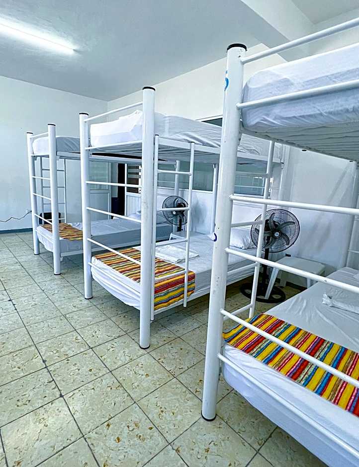 Vive Alegria Hostel