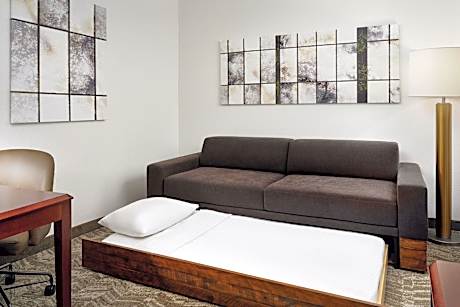 Studio, 1 King Bed with Sofa bed (1 King Bed and 1 Double Sofa Bed)